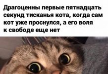 Немного картинок для настроения # 13.02.2020