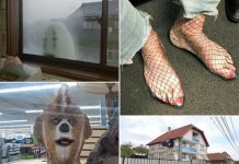 Безумные фотографии, которым лучше не искать логического объяснения # 16.02.2020