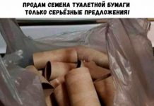 Немного картинок для настроения # 20.03.2020