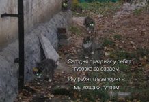 Кискоюмор # 29.03.2020