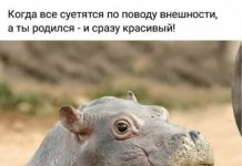 Немного картинок для настроения # 05.03.2020