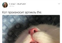 Немного гуманитарного юмора # 28.03.2020