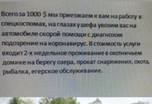 Немного картинок для настроения # 25.03.2020