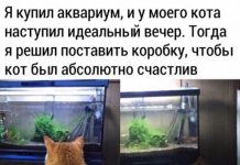 Немного картинок для настроения # 30.03.2020