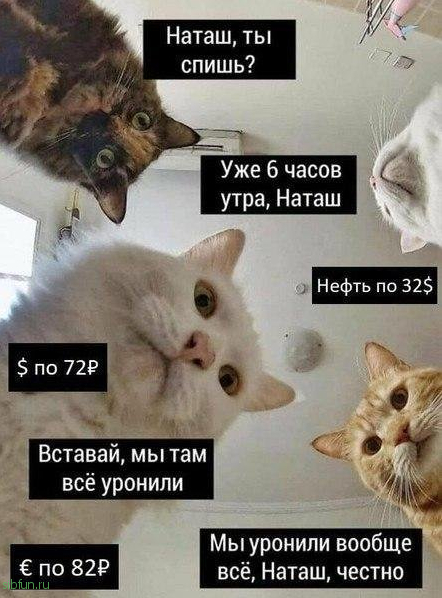 Шутки и юмор из социальных сетей про обвал рубля # 10.03.2020