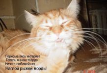 Кискоюмор # 28.03.2020