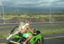 Чуток картинок # 18.03.2020