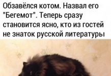 Немного картинок для настроения # 18.03.2020