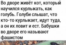 Немного картинок для настроения # 15.03.2020