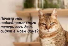 Чуток картинок # 30.03.2020