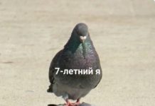 Нестандартный юмор :) # 22.04.2020