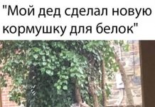 Чуток картинок # 05.04.2020