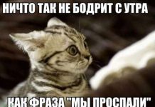 Чуток картинок # 11.04.2020