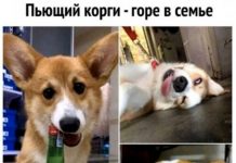 Немного картинок для настроения # 03.04.2020