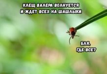 Немного картинок для настроения # 29.04.2020