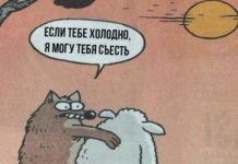 Немного картинок для настроения # 24.04.2020