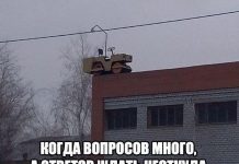 Чуток картинок # 25.04.2020