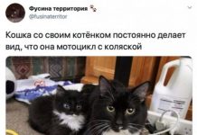 Немного картинок для настроения # 22.04.2020