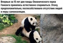 Немного картинок для настроения # 11.04.2020