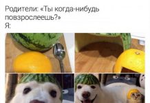 Когда надоели назойливые вопросы, на помощь приходит юмор # 17.04.2020