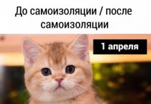 Так себе картинки # 23.04.2020