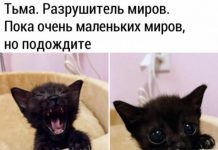 Немного картинок для настроения # 07.05.2020