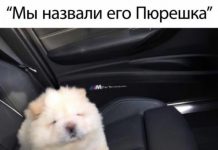 Немного картинок для настроения # 28.05.2020