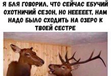 Чуток картинок # 21.05.2020