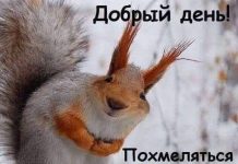 Чуток картинок # 27.05.2020