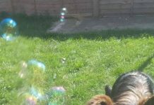 Картинки и фото # 31.05.2020