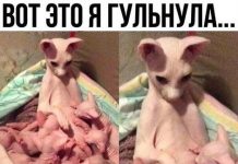 Чуток картинок # 18.05.2020