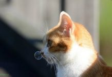 Так себе картинки # 10.05.2020