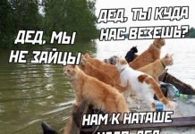 50 так себе картинок # 30.05.2020