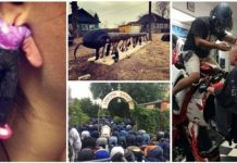 20 фотографий, которые даже не стоит пытаться объяснить # 12.05.2020