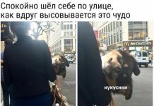 Чуток картинок # 09.05.2020