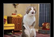 Чуток картинок # 04.05.2020