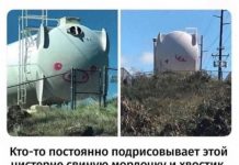 Немного картинок для настроения # 14.05.2020