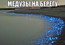 Так себе картинки # 01.05.2020
