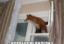 Так себе картинки # 07.05.2020