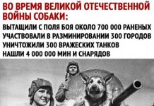 Чуток картинок # 12.05.2020