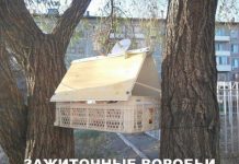 Так себе картинки # 13.05.2020