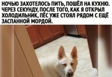 Немного картинок для настроения # 06.05.2020