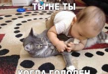 Чуток картинок на ночь глядя # 13.05.2020