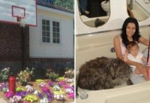 15 странных фото, требующих немедленного разъяснения # 24.06.2020