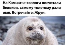 Немного картинок для настроения # 18.06.2020