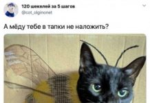 Немного картинок для настроения # 25.06.2020