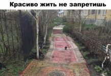 Немного картинок для настроения # 22.06.2020