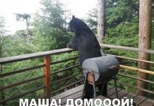 Так себе картинки # 30.06.2020