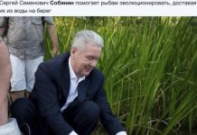 Нестандартный юмор :) # 08.06.2020