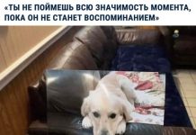 Чуток картинок # 28.06.2020